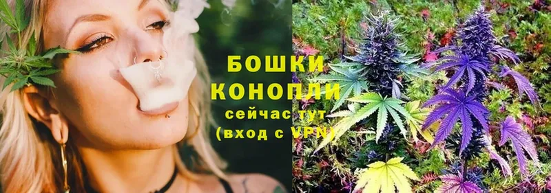 как найти закладки  Кинешма  Конопля SATIVA & INDICA 